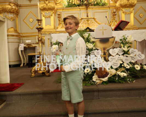 3099-0668