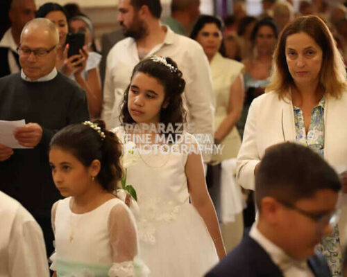 3099-0930