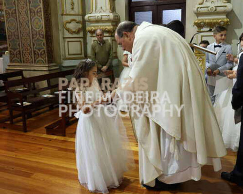 3101-1271