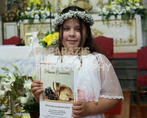 3101-1316