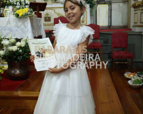 3101-1356
